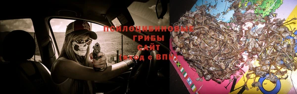 прущая мука Алзамай
