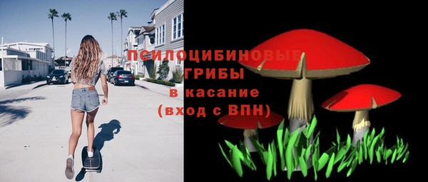 прущая мука Алзамай
