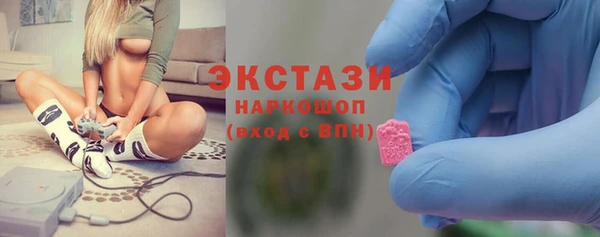 хмурый Аркадак