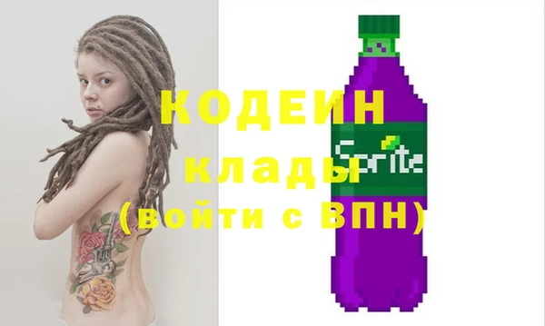 хмурый Аркадак