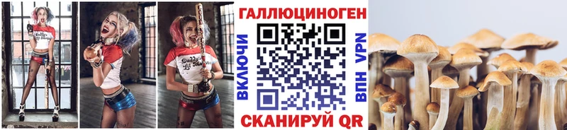 Купить закладки  Туран  Псилоцибиновые грибы мицелий 