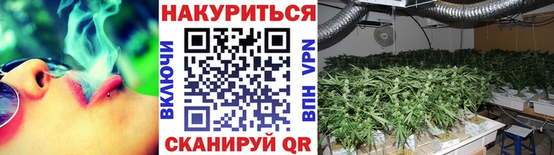 Каннабис план  Купить где  Туран 
